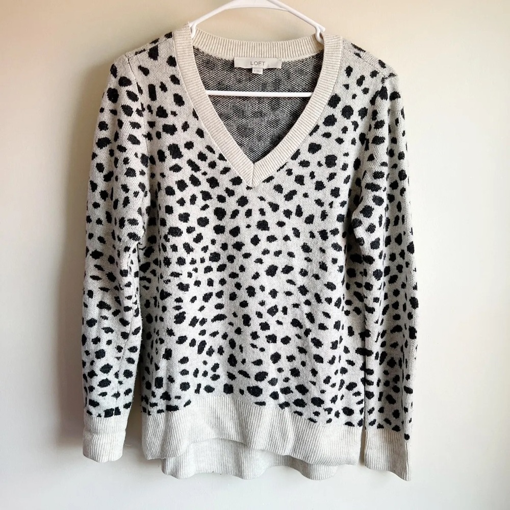 Cheetah Print Sweater